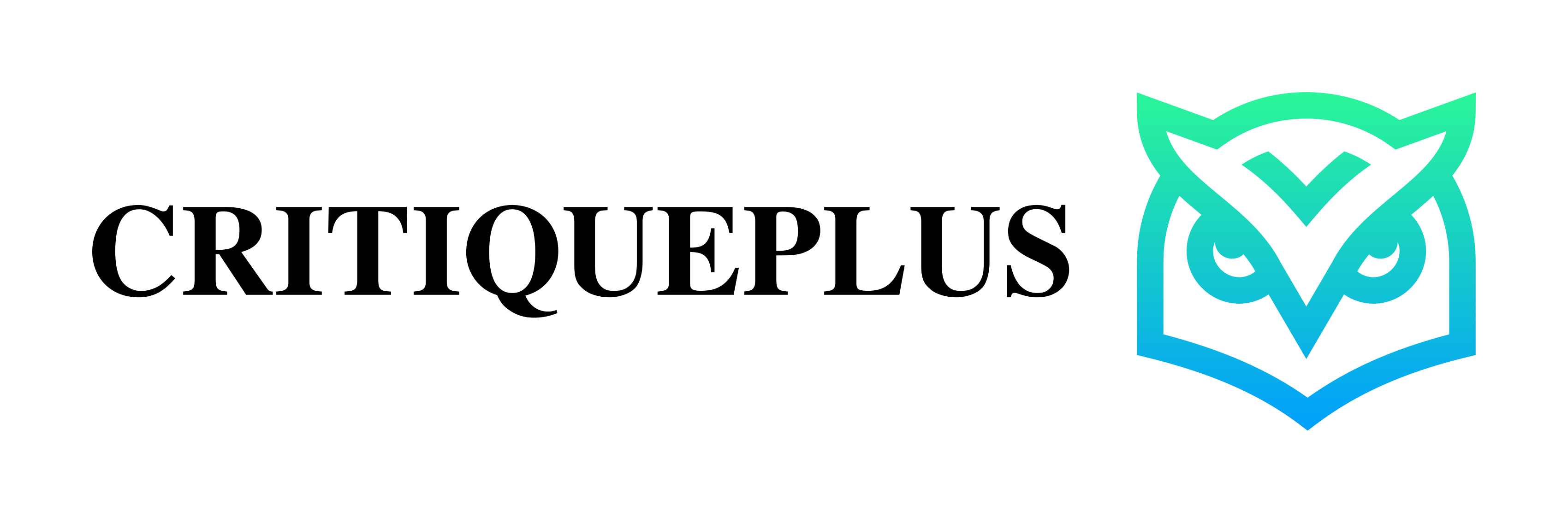 CritiquePlus