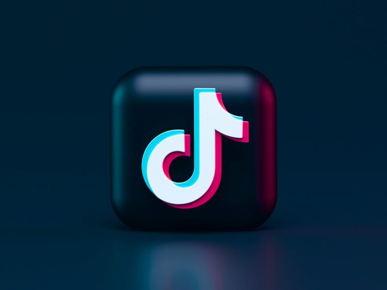 10 façons de gagner des abonnés TikTok rapidement 6 10 façons de gagner des abonnés TikTok rapidement