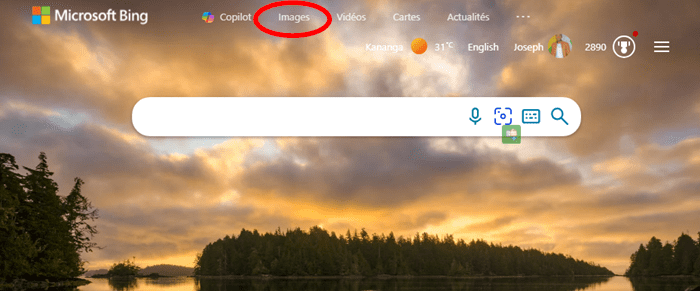 Microsoft Bing : découvrez ses fonctionnalités et avantages pour une recherche optimisée 2 Zoom sur Microsoft Bing Images